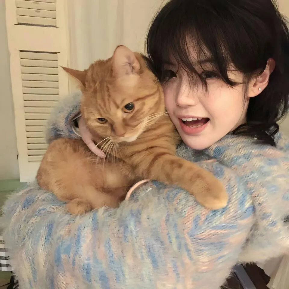 长公主驾到,尔等速速觐见